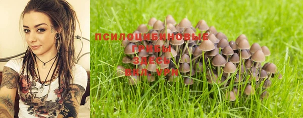 спайс Баксан
